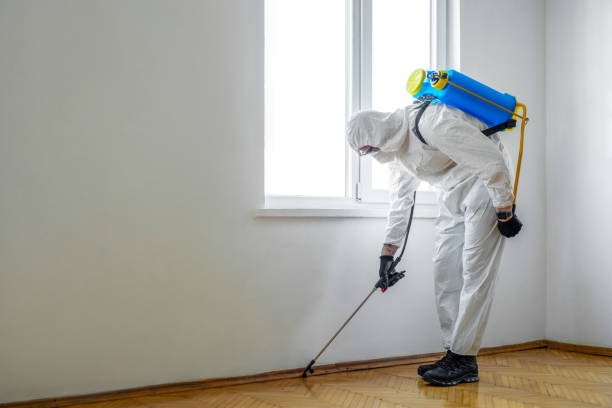 Best Emergency Pest Control  in Bowmansville, PA